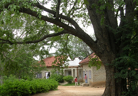 Rishi Valley School
